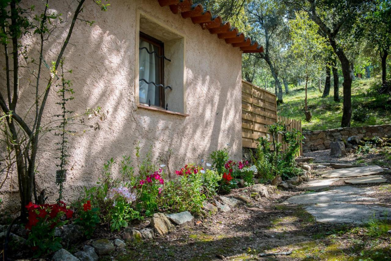Le Mas De Cocody Le Plan-de-la-Tour Dış mekan fotoğraf