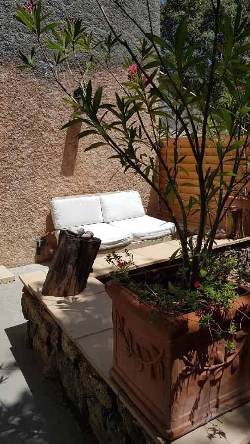 Le Mas De Cocody Le Plan-de-la-Tour Dış mekan fotoğraf